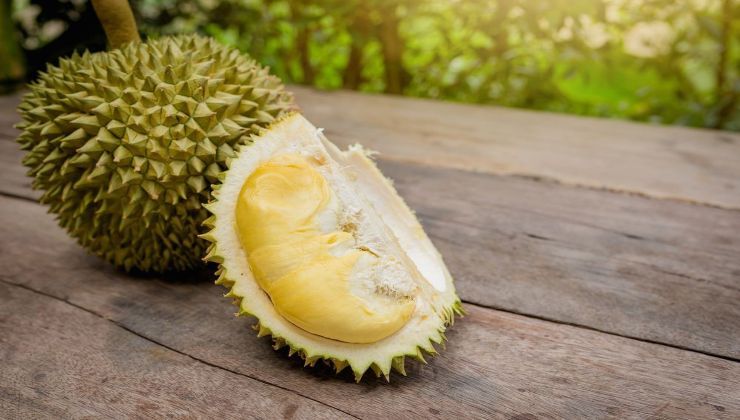 Durian