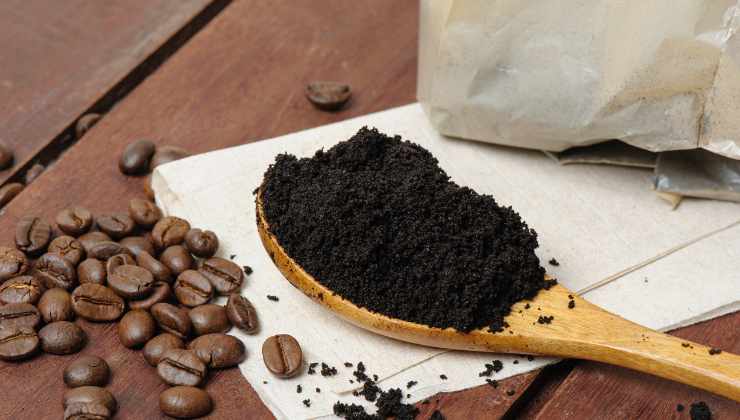 Fondi del caffè contro le formiche