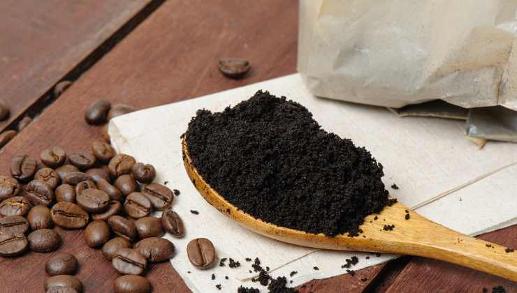 Fondi del caffè per lavare le stoviglie