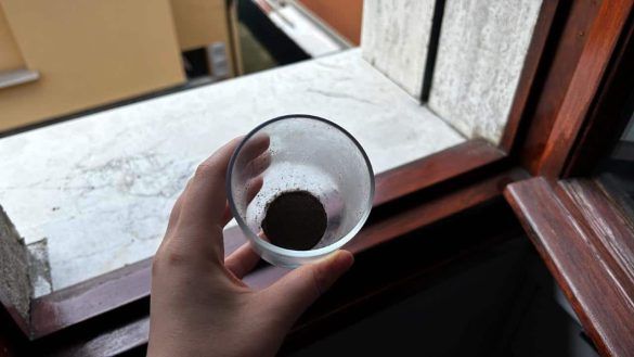 Fondi di caffè sul davanzale della finestra