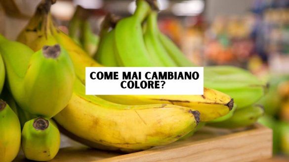 Frutta matura