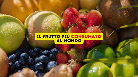 Frutta varia