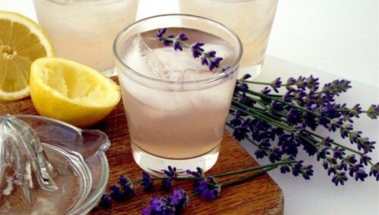 Limonata alla lavanda