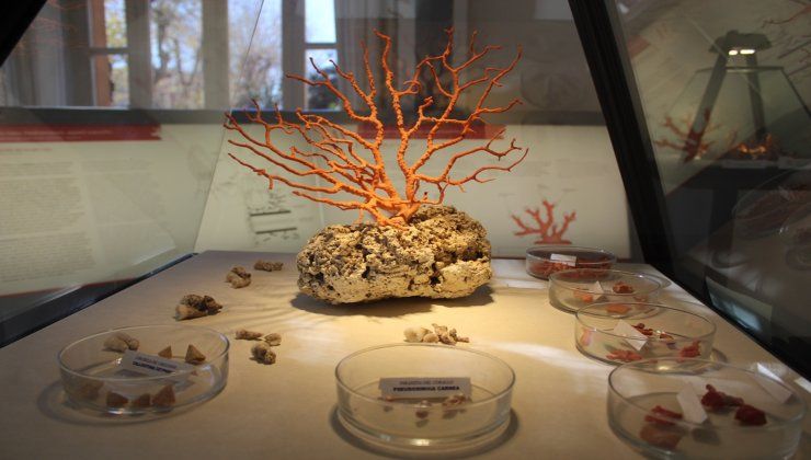 Museo del corallo Sardegna