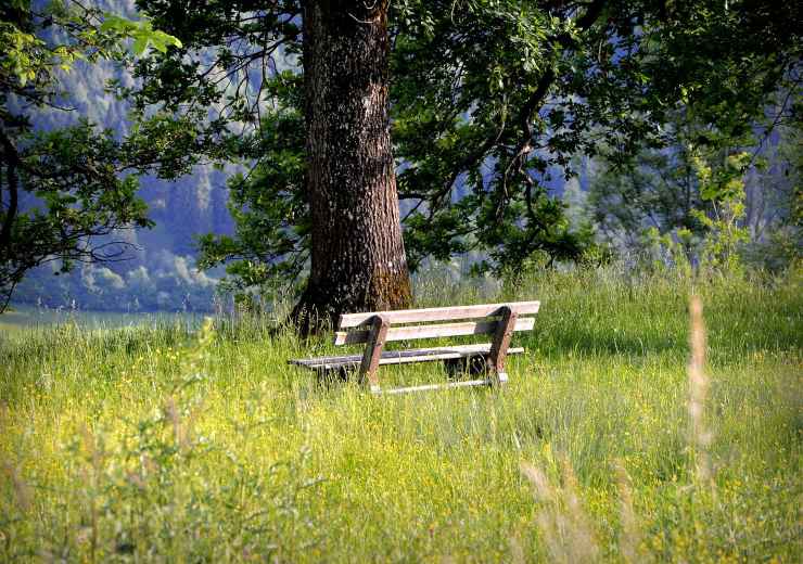 Panchine letterarie europee