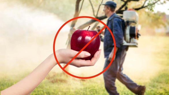 Pesticidi sulle mele