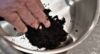 Come mai alcune casalinghe utilizzano i fondi del caffè per lavare le stoviglie