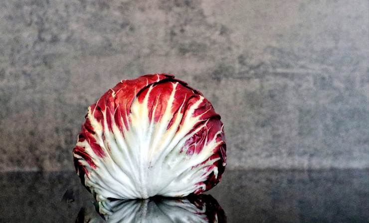 Radicchio