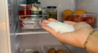 Metti un pugno di sale nel tuo frigorifero, dopo 10 minuti resterai sorpreso