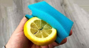 Taglia la spugna da cucina e infilaci il limone dentro, risultato sorprendente