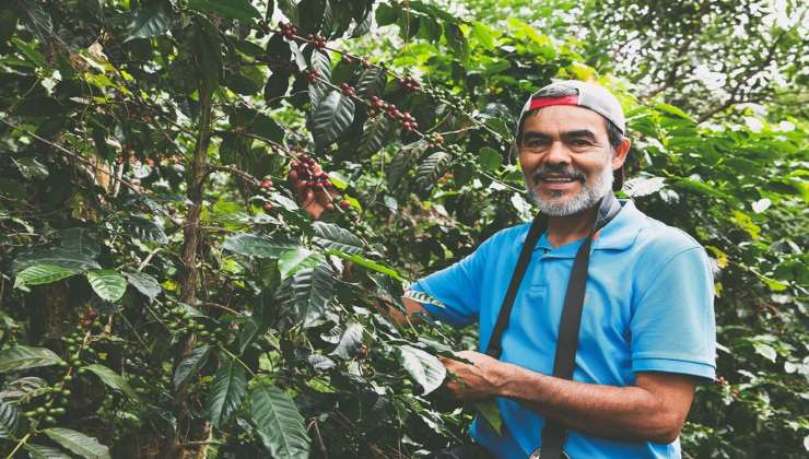 Un coltivatore di caffè 