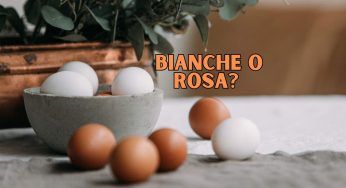 Uova, bianche o rosa: sapete qual è la differenza? Non ci è mai arrivato nessuno
