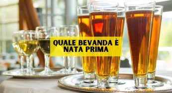 Vino o birra, quale bevanda è nata prima? È lei la più antica