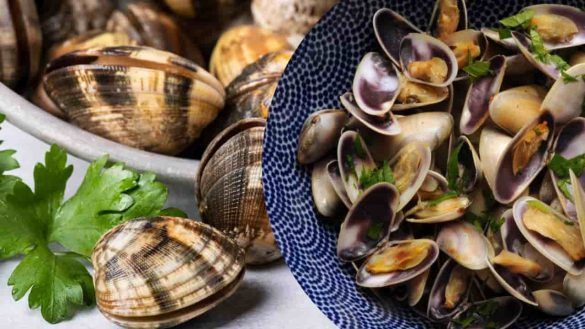 Vongole e telline