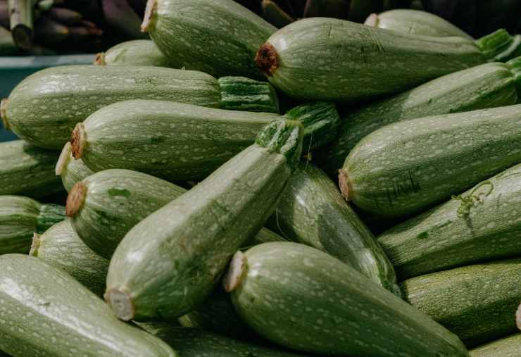 Zucchine