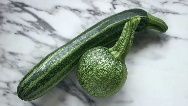 Zucchine