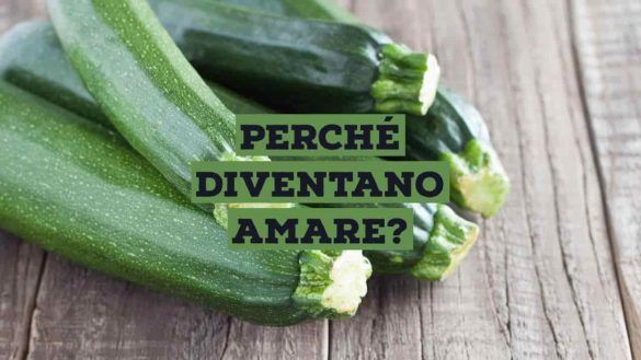 Zucchine amare