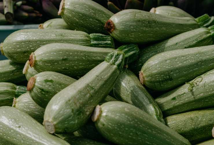 Zucchine