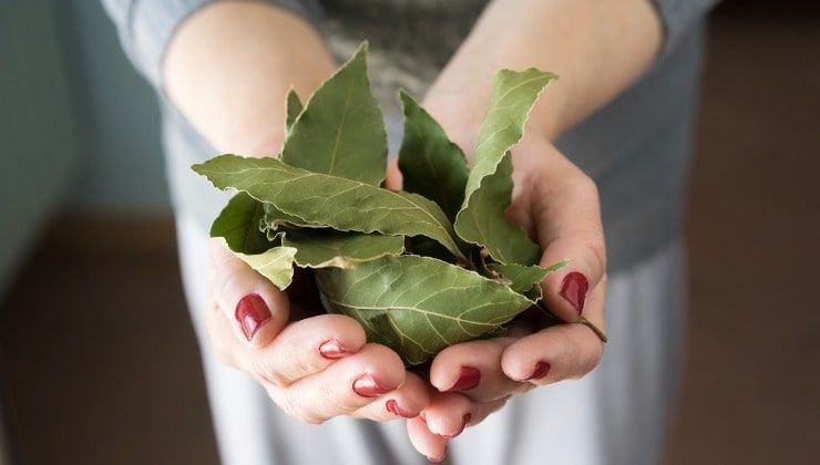 Lagerblad för att minska hungern