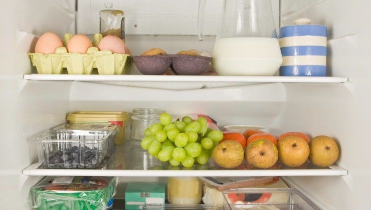Conservazione alimenti in frigo
