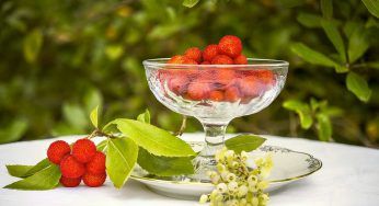 Corbezzolo: proprietà, benefici e usi culinari
