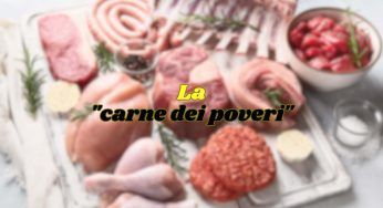 Definita la ʻcarne dei poveriʼ, ma è ricca di proteine e ferro: di quale si tratta