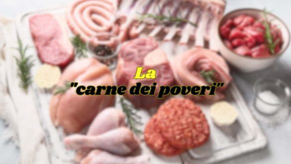 la carne dei poveri