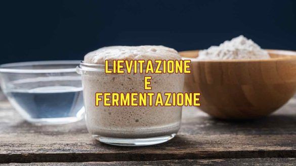 lievitazione e fermentazione