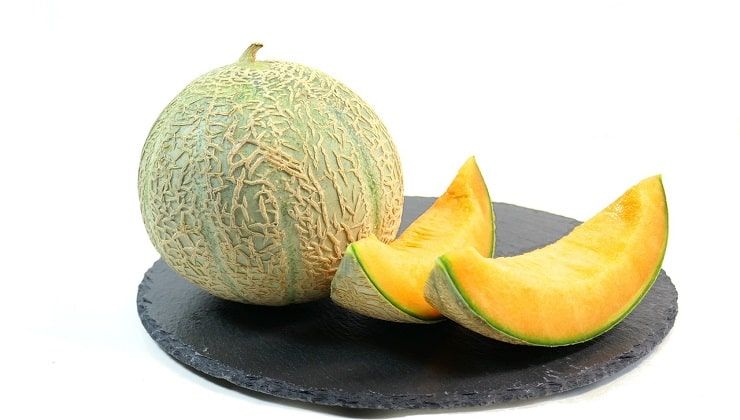 Gul melon