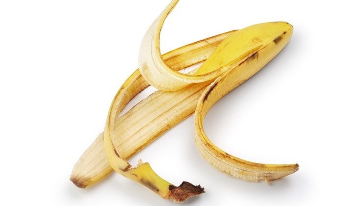 Picciolo delle banane