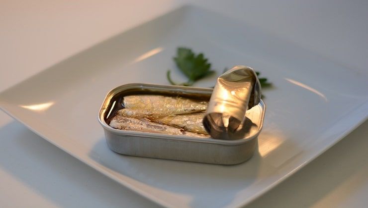 Scatola di sardine di latta
