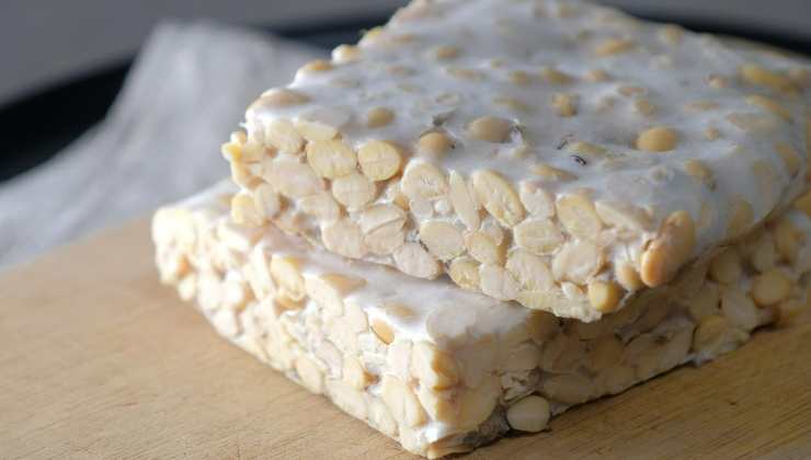 Le proteine vegetali del tempeh