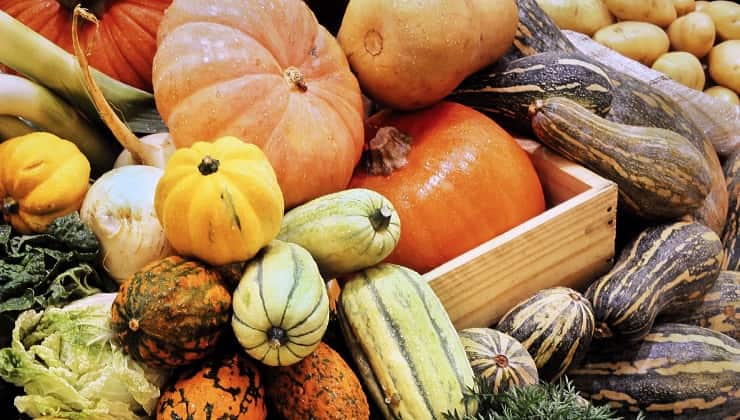 A variety of pumpkins