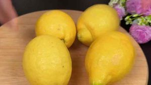 4 limoni