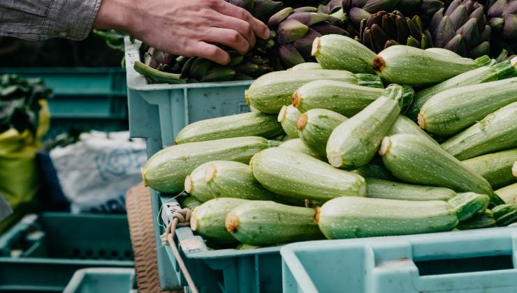 Zucchina velenosa: attenzione al dettaglio