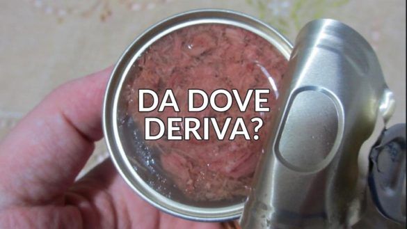 Carne in scatola derivazione