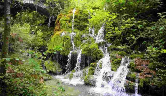 Cascate Capelli di Venere