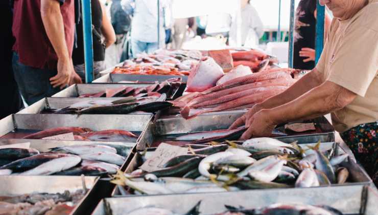 mercato del pesce più grande d’Italia