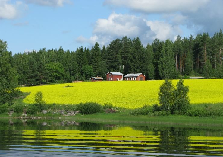 Digital detox in Finlandia