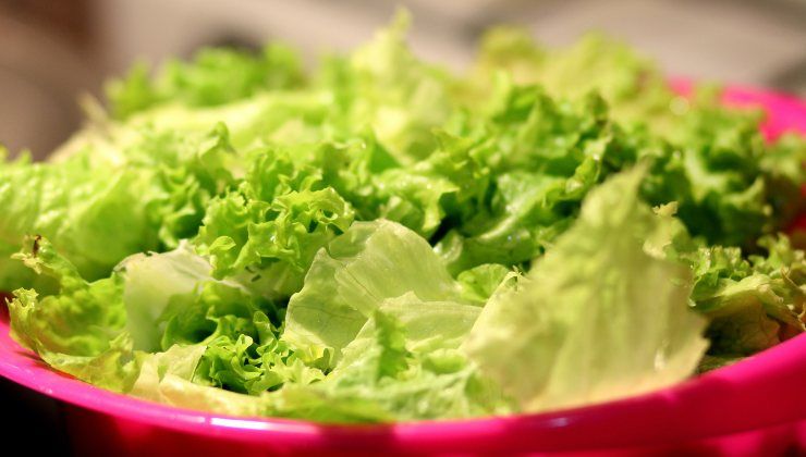 Insalata pronta per il frigo