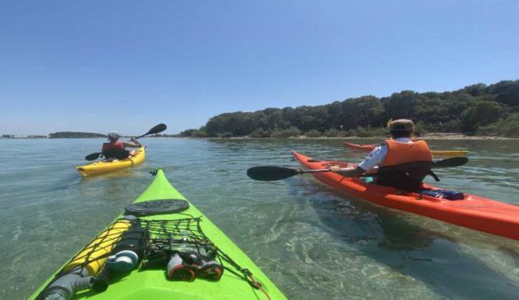 Kayak e Canoa