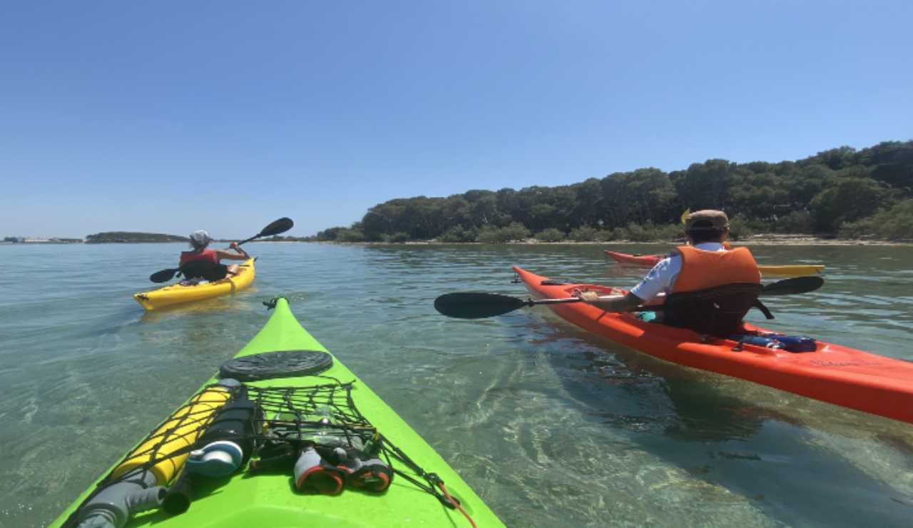 Kayak or canoe, what are the differences and which one to choose