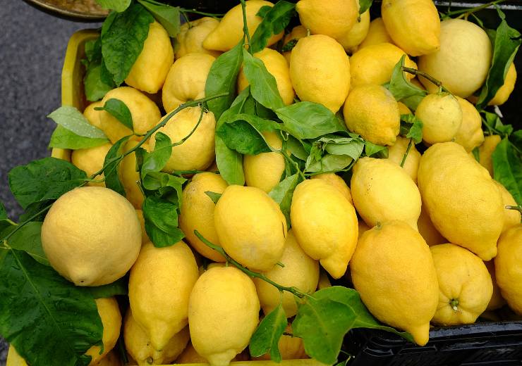 Limoni, come conservarli per 6 mesi: li avrai più succosi e freschi di prima