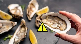 Ostriche al ristorante, è questa la quantità che non dovresti superare: “occhio”