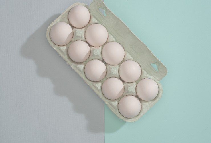 Scatola delle uova