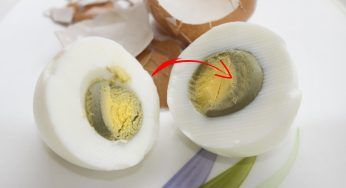 Per quale motivo il tuorlo dell’uovo sodo diventa verde? Non è come pensi