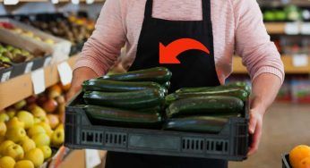 Zucchine, attenzione al dettaglio prima di comprarle: potrebbero essere velenose