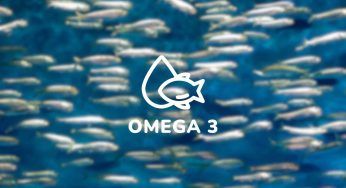 In mare luccicano, sono ricche di Omega 3: quale pesce dovremmo consumare più spesso