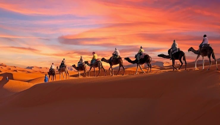 Cammelli attraversano il deserto in Marocco