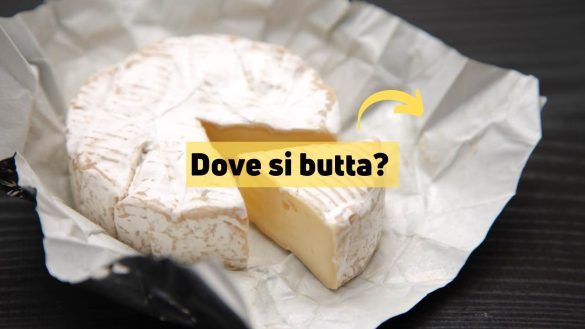 carta dei formaggi